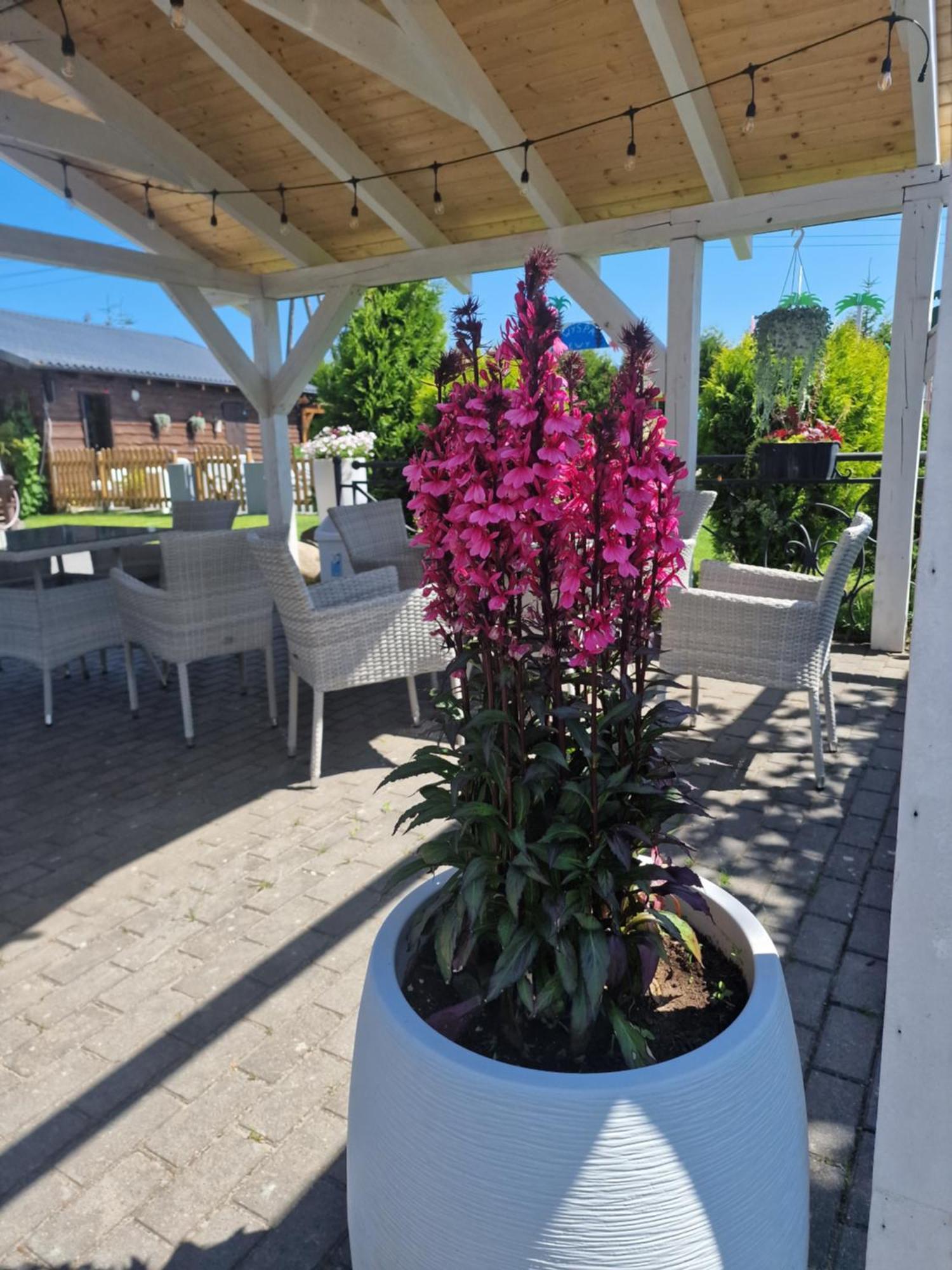 Villa Dolce Vita Łeba Kültér fotó